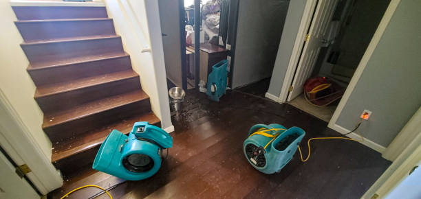 Best Water damage restoration cost  in Rockaway Beach, OR