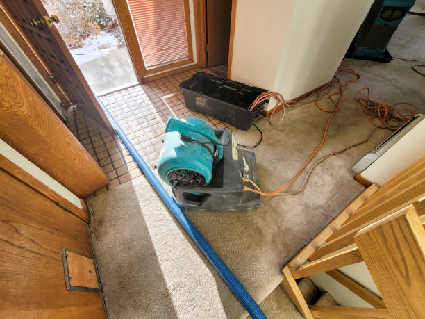 Best 24/7 water damage repair  in Rockaway Beach, OR