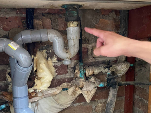 Best Mold removal after water damage  in Rockaway Beach, OR